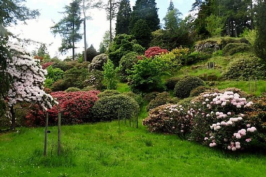 Benmore Garden